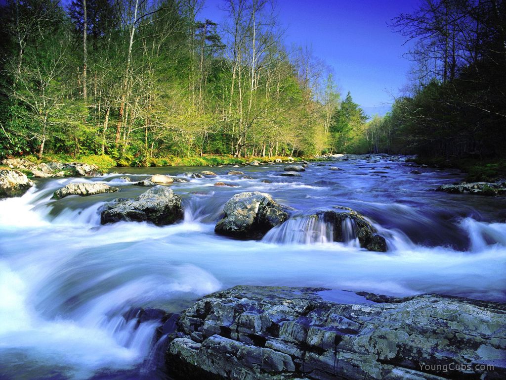 Little Pigeon River, Great Smoky Mountains National Park, Tennessee